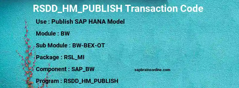 SAP RSDD_HM_PUBLISH transaction code