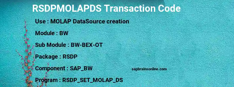 SAP RSDPMOLAPDS transaction code