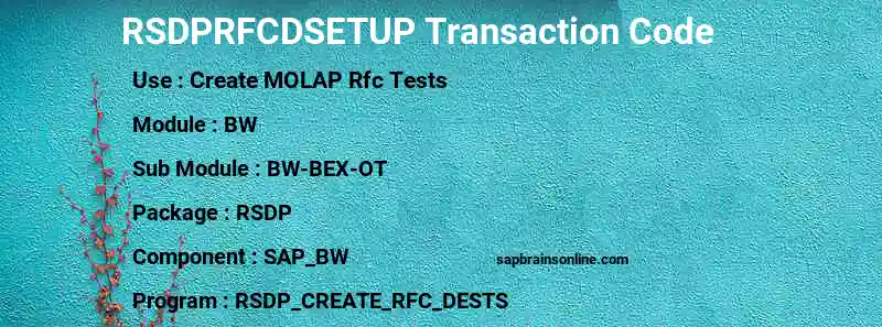 SAP RSDPRFCDSETUP transaction code