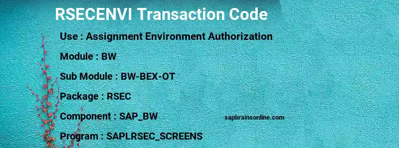 SAP RSECENVI transaction code