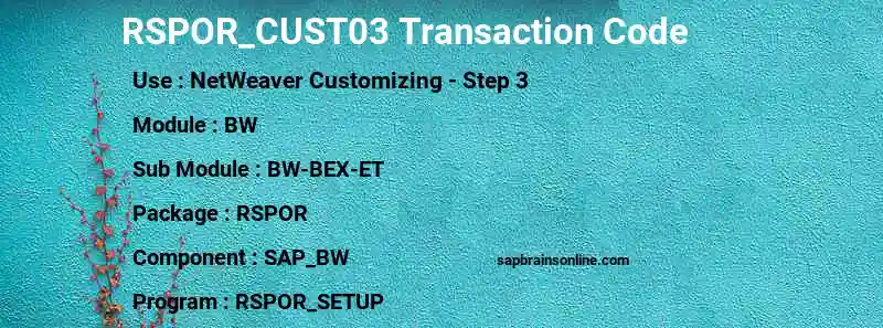SAP RSPOR_CUST03 transaction code