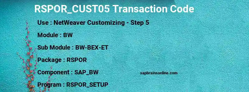 SAP RSPOR_CUST05 transaction code