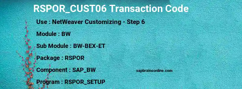SAP RSPOR_CUST06 transaction code