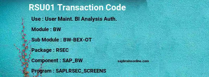 SAP RSU01 transaction code