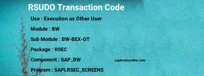 SAP RSUDO transaction code