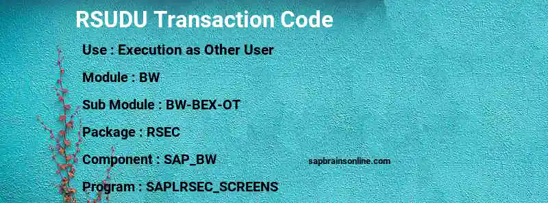 SAP RSUDU transaction code