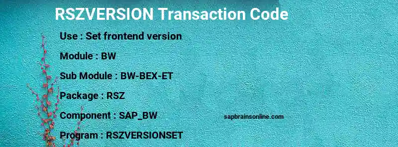 SAP RSZVERSION transaction code