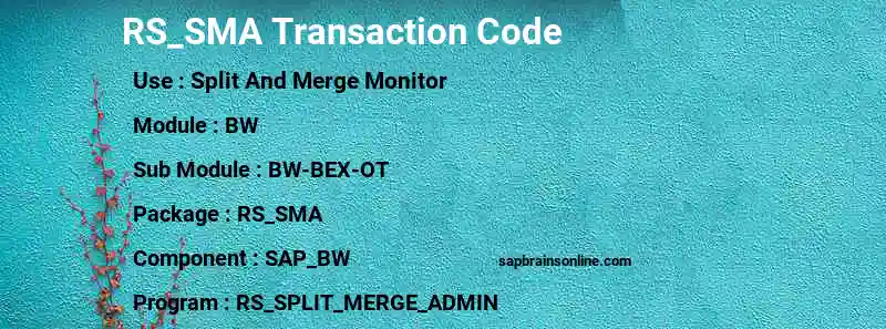 SAP RS_SMA transaction code