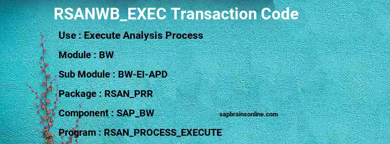 SAP RSANWB_EXEC transaction code