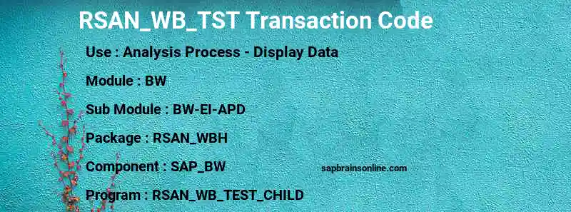 SAP RSAN_WB_TST transaction code