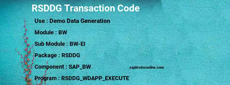 SAP RSDDG transaction code