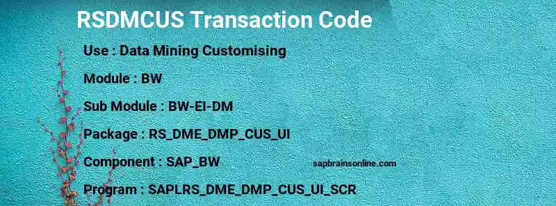 SAP RSDMCUS transaction code