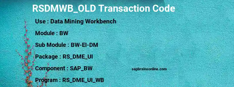 SAP RSDMWB_OLD transaction code