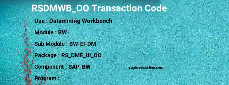 SAP RSDMWB_OO transaction code