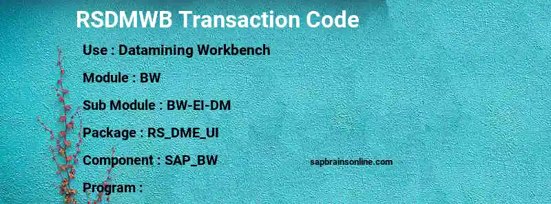 SAP RSDMWB transaction code