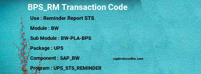 SAP BPS_RM transaction code