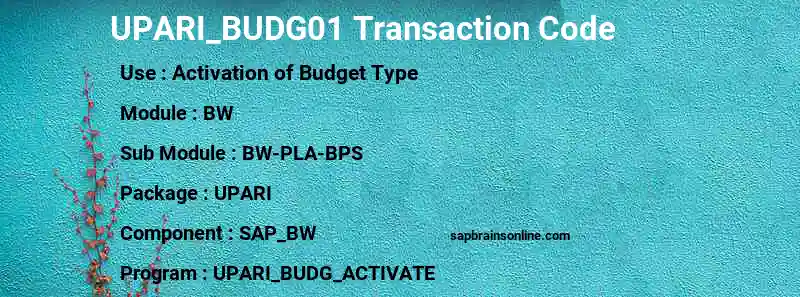 SAP UPARI_BUDG01 transaction code