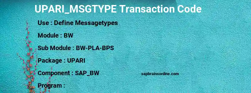 SAP UPARI_MSGTYPE transaction code