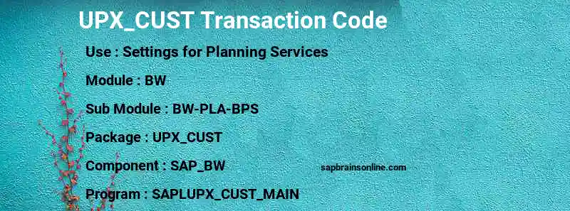 SAP UPX_CUST transaction code