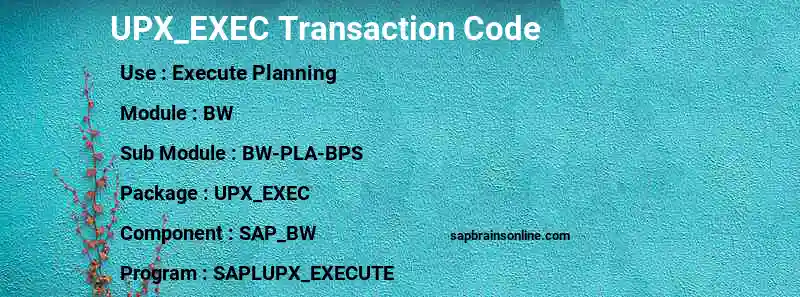 SAP UPX_EXEC transaction code