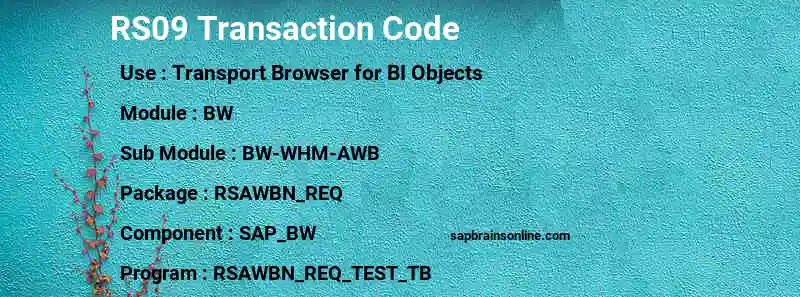 SAP RS09 transaction code