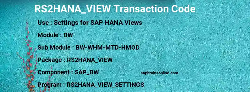 SAP RS2HANA_VIEW transaction code