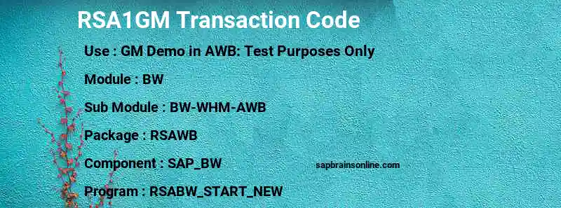 SAP RSA1GM transaction code