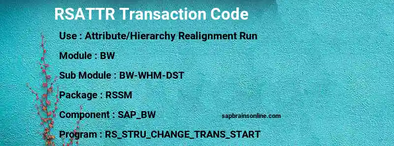 SAP RSATTR transaction code