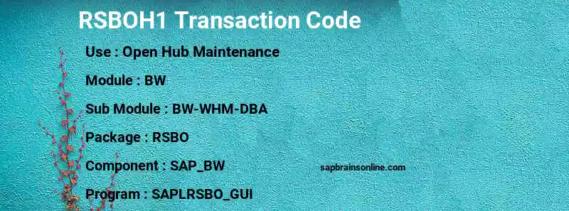 SAP RSBOH1 transaction code
