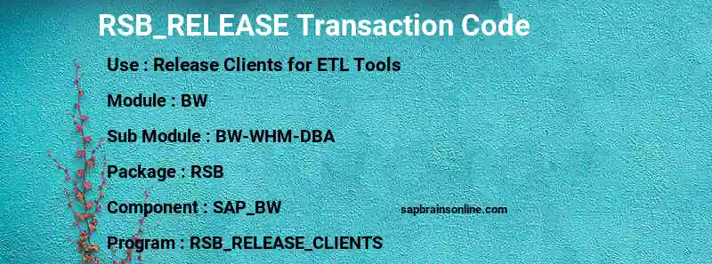 SAP RSB_RELEASE transaction code