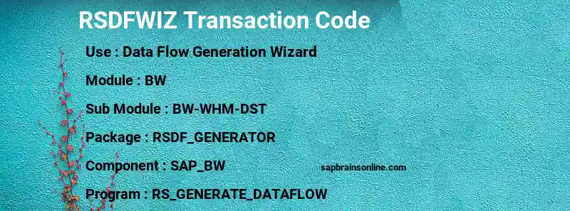 SAP RSDFWIZ transaction code