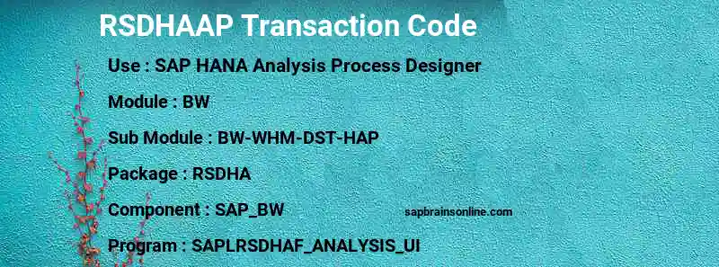 SAP RSDHAAP transaction code