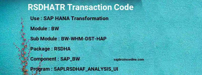 SAP RSDHATR transaction code