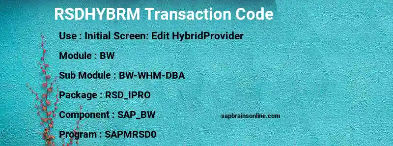 SAP RSDHYBRM transaction code