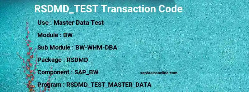 SAP RSDMD_TEST transaction code