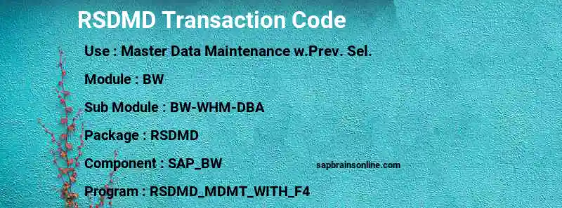 SAP RSDMD transaction code