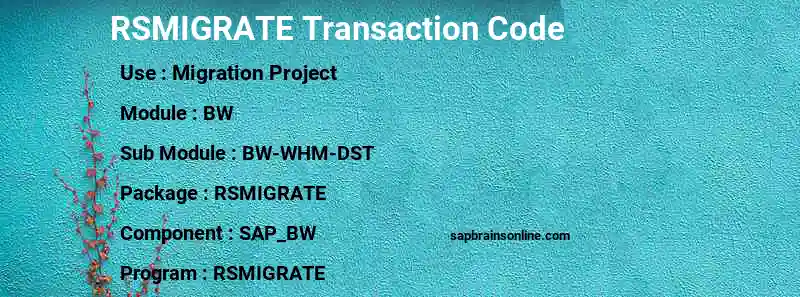 SAP RSMIGRATE transaction code