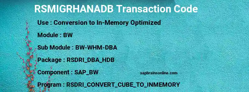 SAP RSMIGRHANADB transaction code