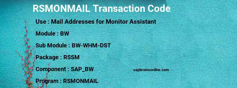 SAP RSMONMAIL transaction code