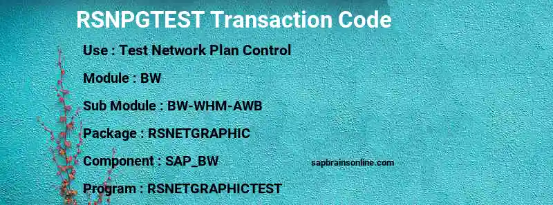 SAP RSNPGTEST transaction code