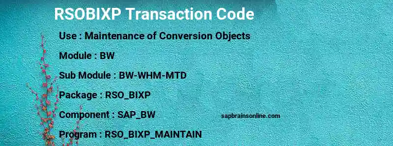 SAP RSOBIXP transaction code