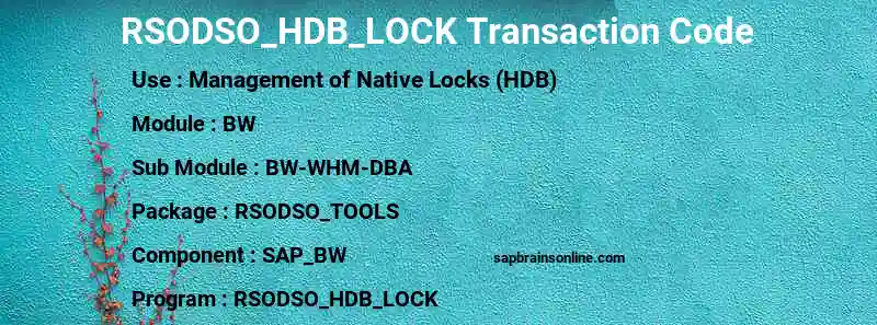 SAP RSODSO_HDB_LOCK transaction code