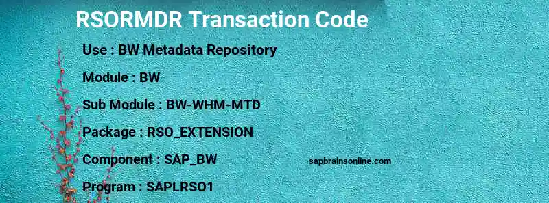 SAP RSORMDR transaction code