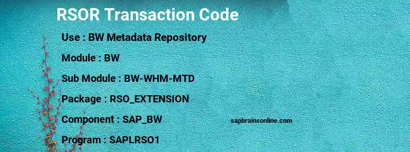 SAP RSOR transaction code
