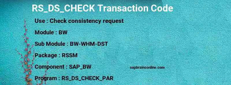 SAP RS_DS_CHECK transaction code