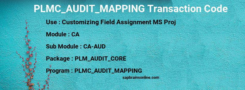 SAP PLMC_AUDIT_MAPPING transaction code