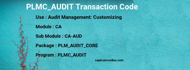 SAP PLMC_AUDIT transaction code