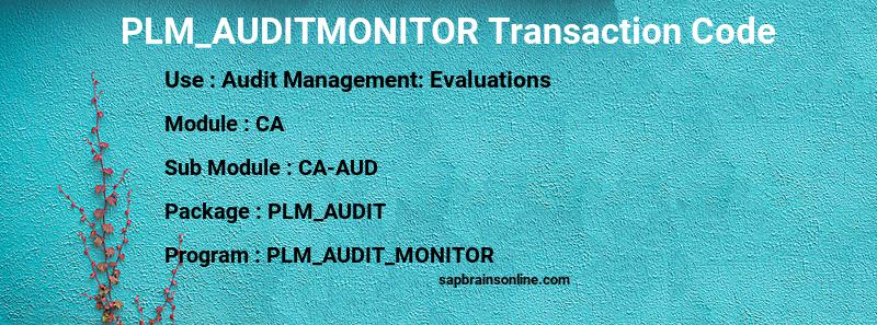 SAP PLM_AUDITMONITOR transaction code