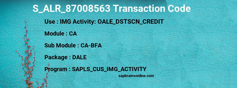 SAP S_ALR_87008563 transaction code