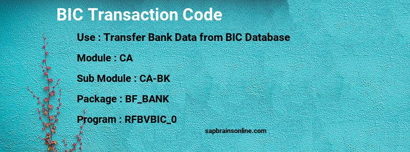 SAP BIC transaction code